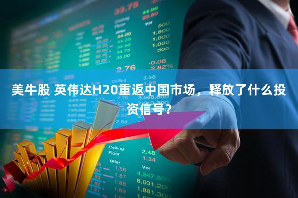 美牛股 英伟达H20重返中国市场，释放了什么投资信号？
