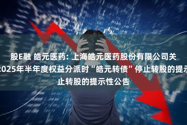股E融 皓元医药: 上海皓元医药股份有限公司关于实施2025年半年度权益分派时“皓元转债”停止转股的提示性公告
