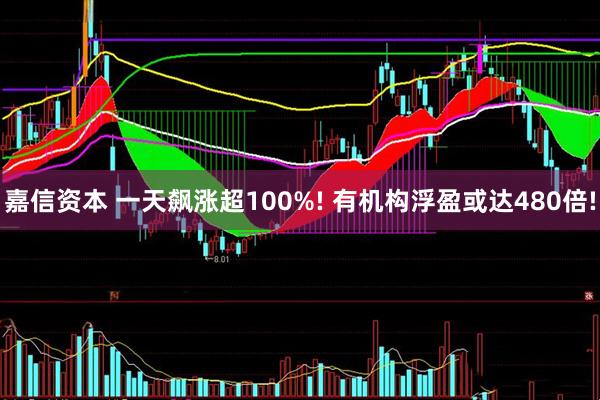 嘉信资本 一天飙涨超100%! 有机构浮盈或达480倍!