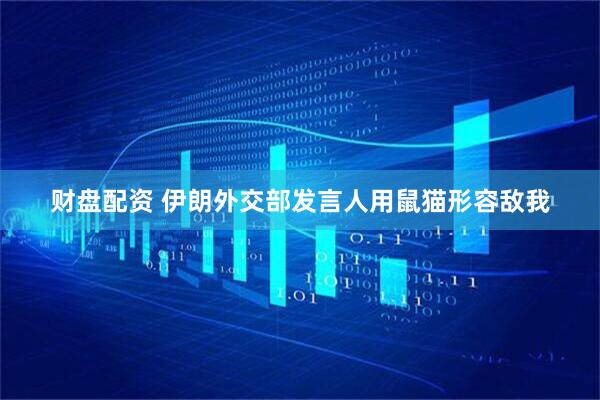 财盘配资 伊朗外交部发言人用鼠猫形容敌我